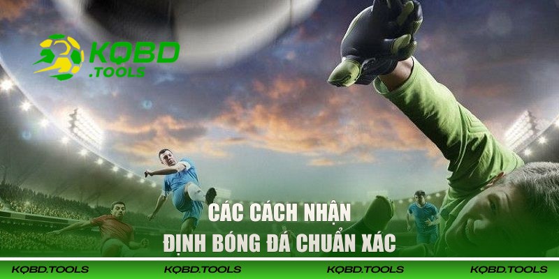 Các cách nhận định bóng đá chuẩn xác